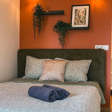 Cozy Nest In
